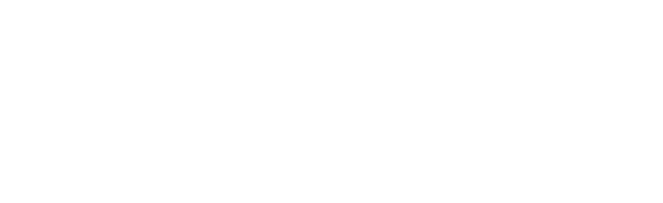 HAVAN 50th Logo Small